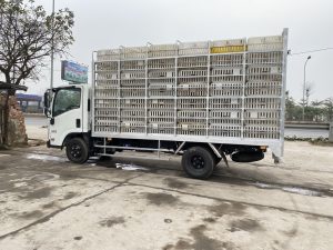 QKR Thùng Chở Gia Cầm
